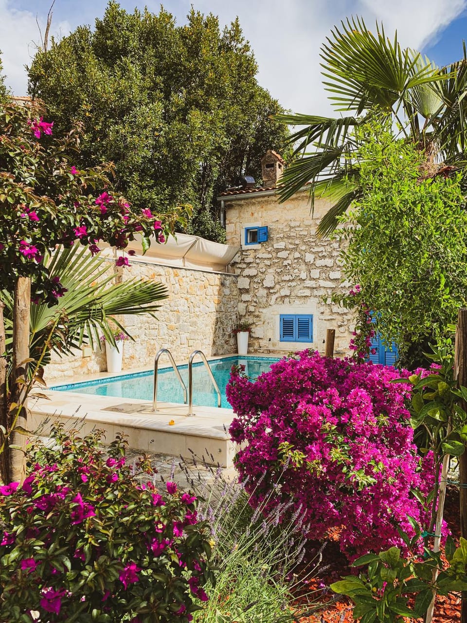 Garden, Pool view, Swimming pool