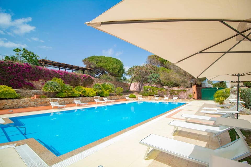 Pool view, Swimming pool