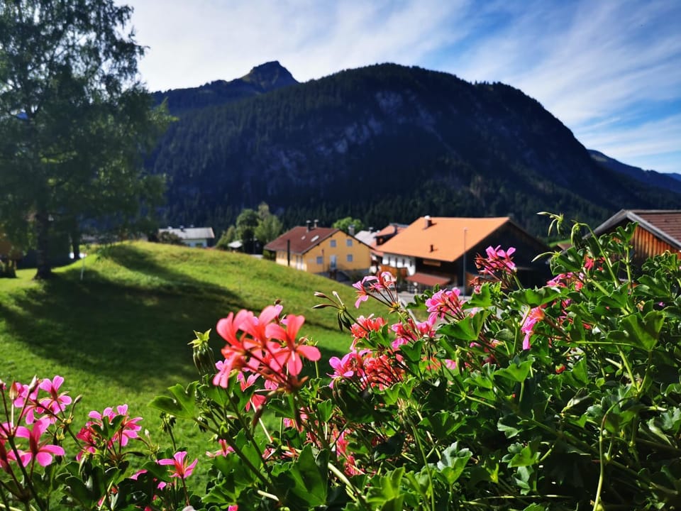 Mountain view