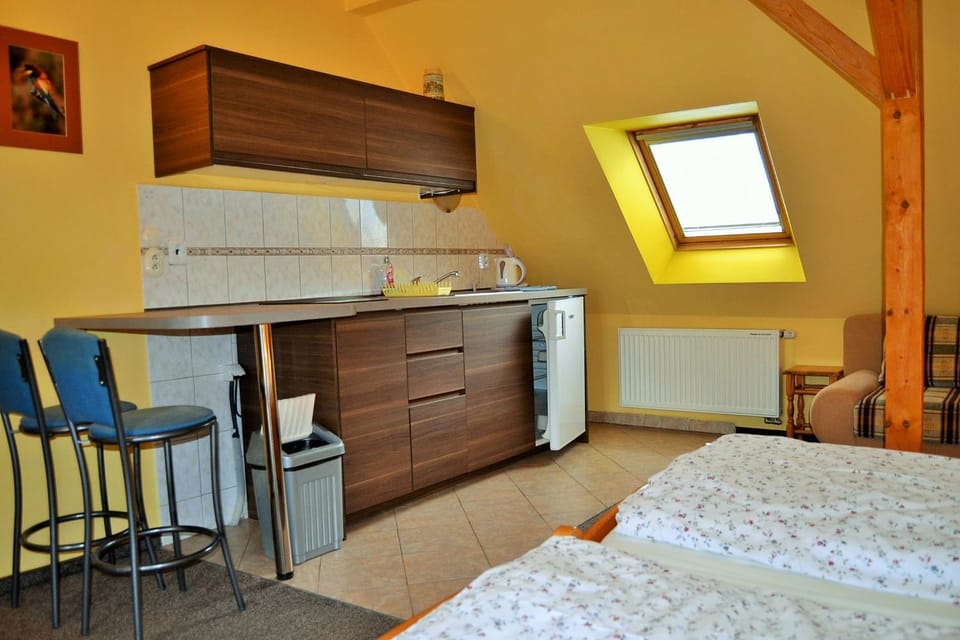 Apartments Nicol Apartment in Saxony