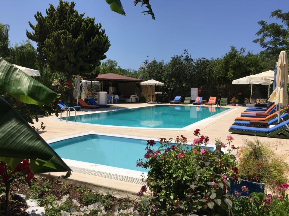 Swimming pool, Swimming pool