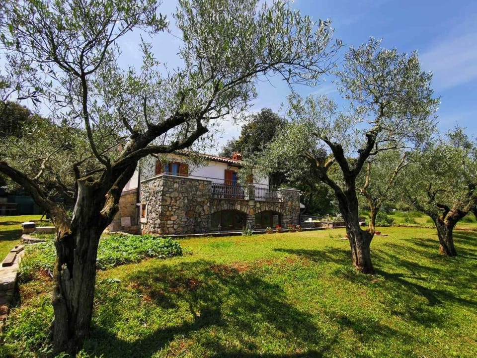 Monpaderno Apartment in Rovinj