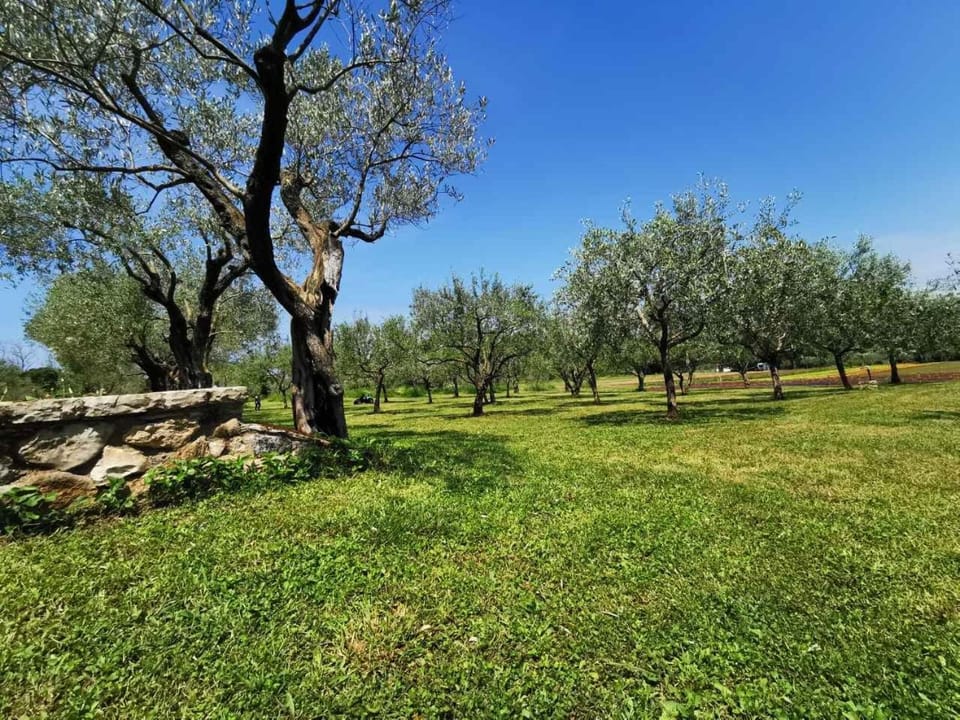 Monpaderno Apartment in Rovinj