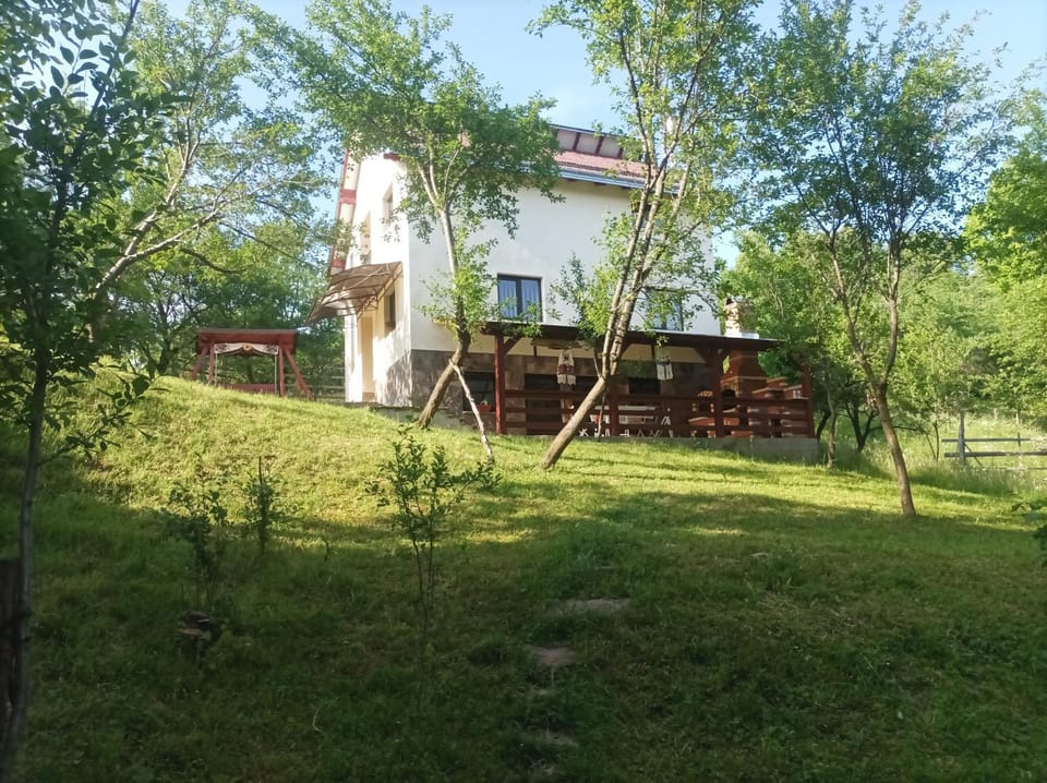 Casa Fluțar House in Romania
