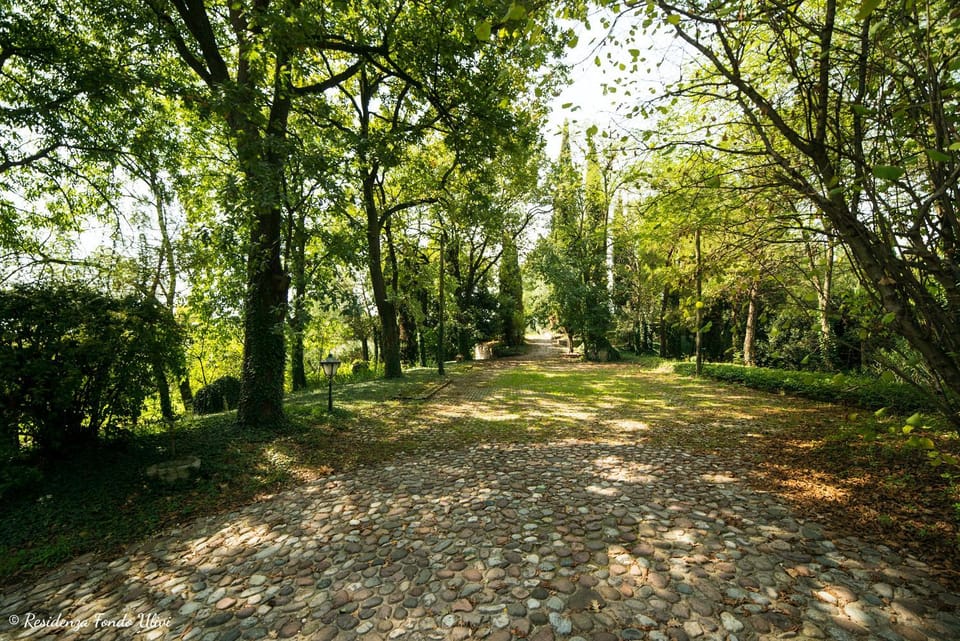 Natural landscape, Garden