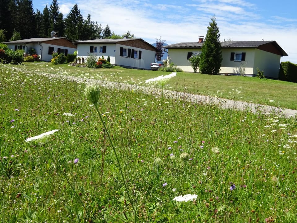 Neighbourhood