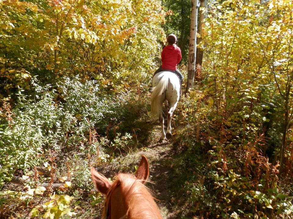 Horse-riding