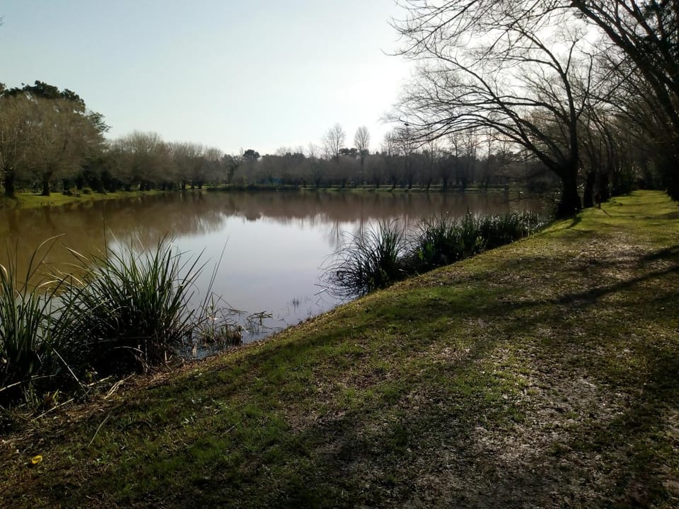 Natural landscape