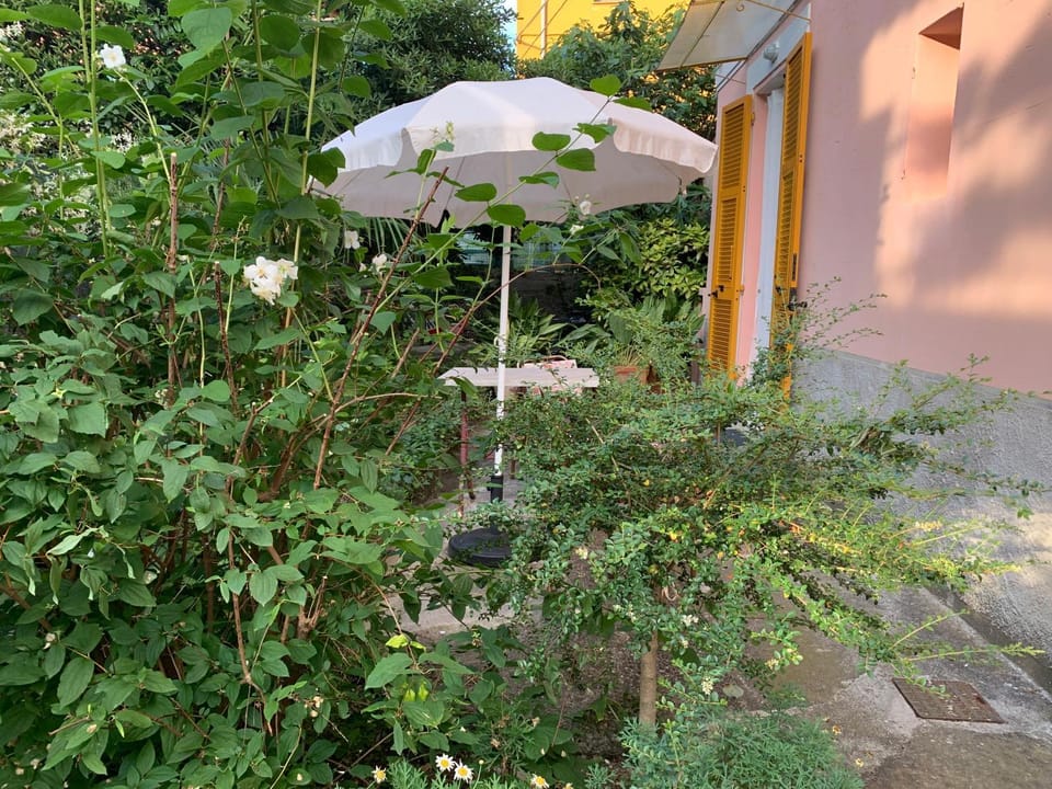 Facade/entrance, Spring, Garden