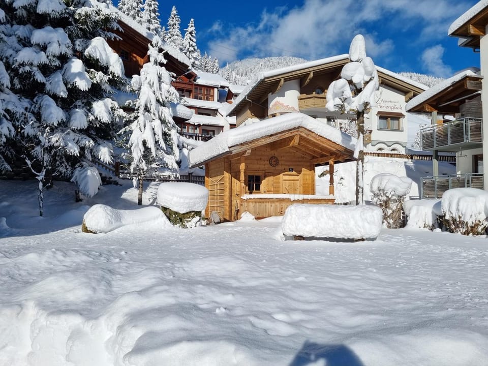Winter, Garden