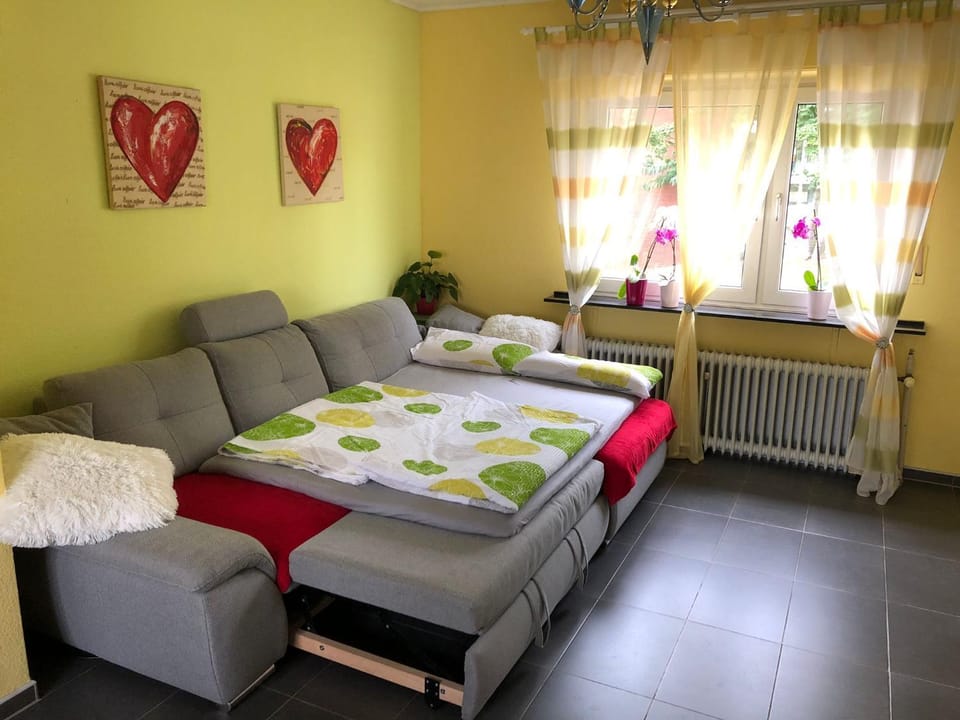 Photo of the whole room