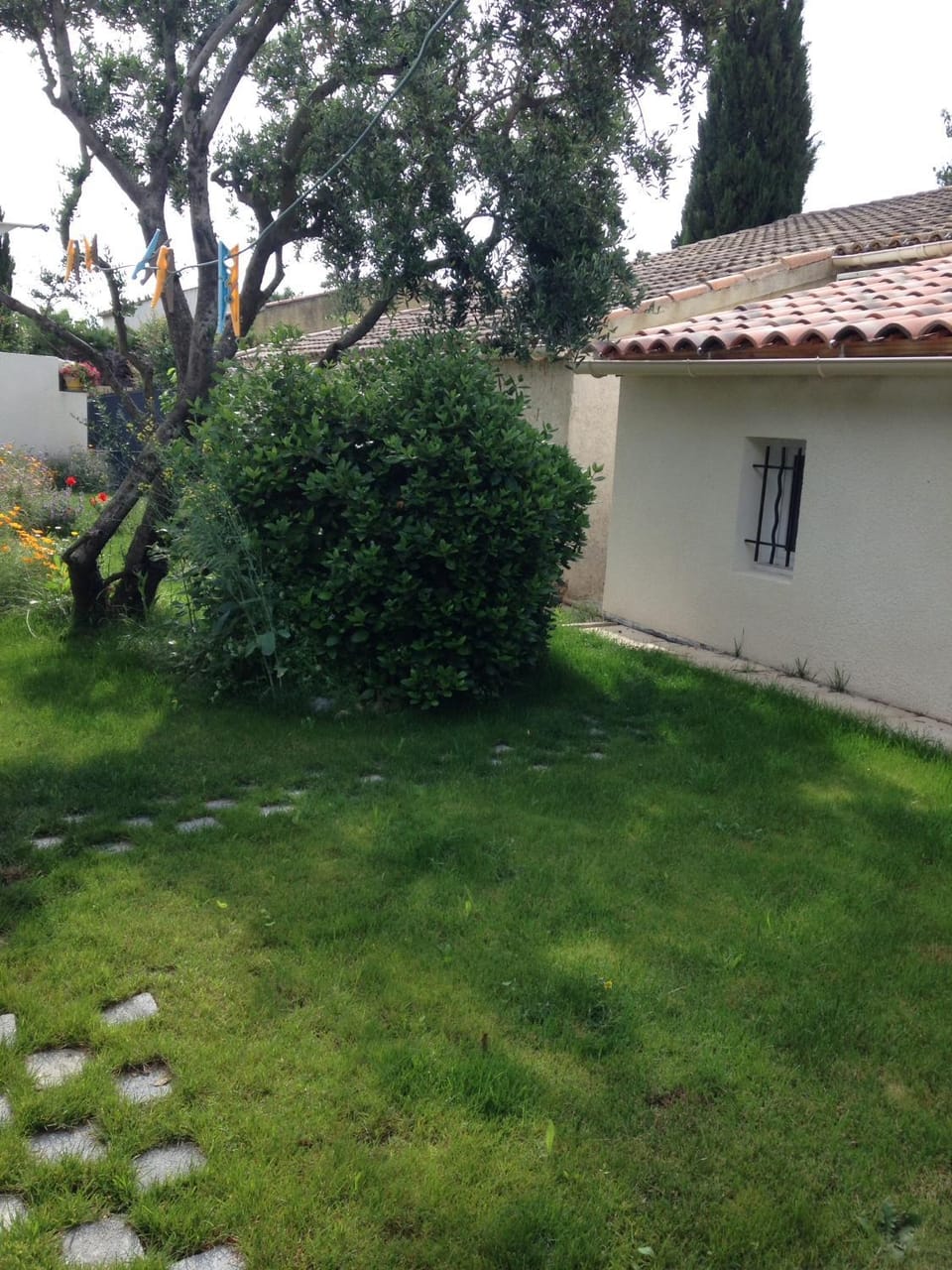 Garden view