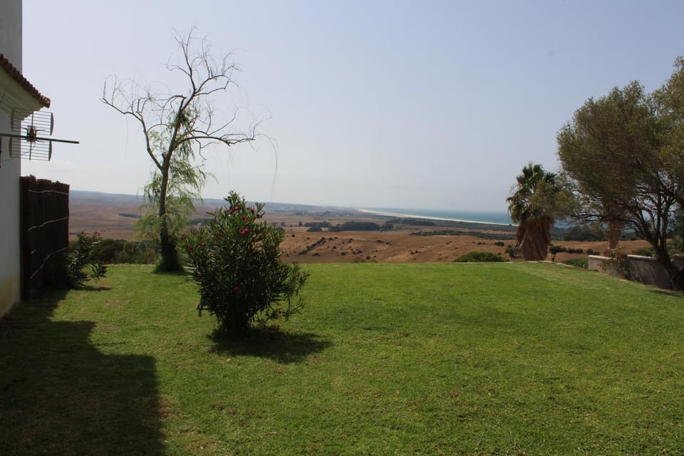 Garden, Garden view