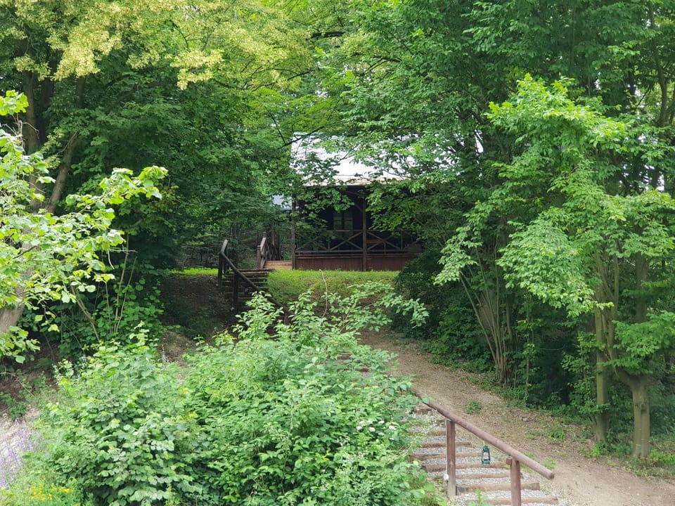Property building, Garden, Garden view
