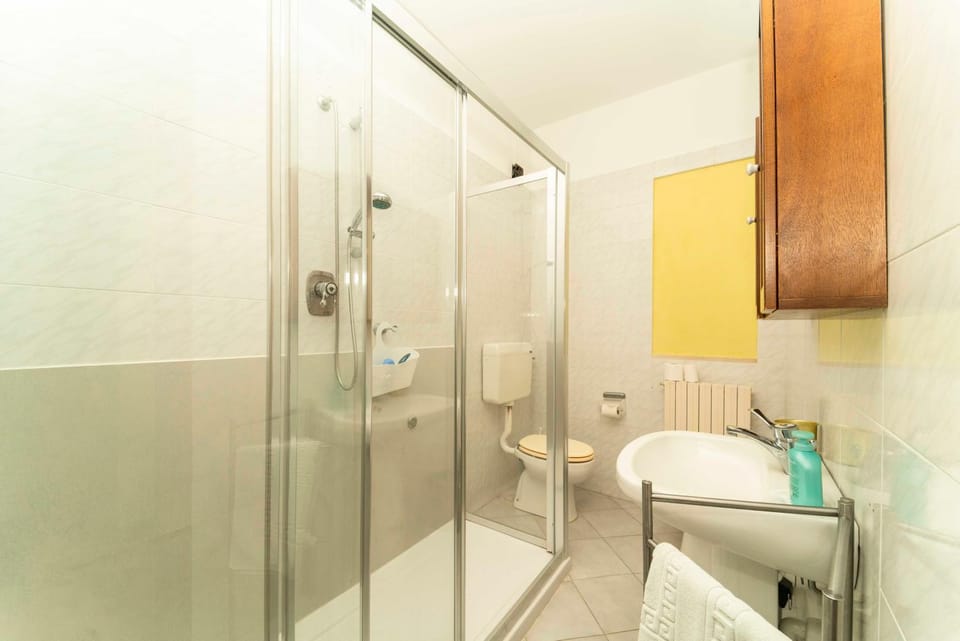 Shower, Toilet, Bathroom, towels