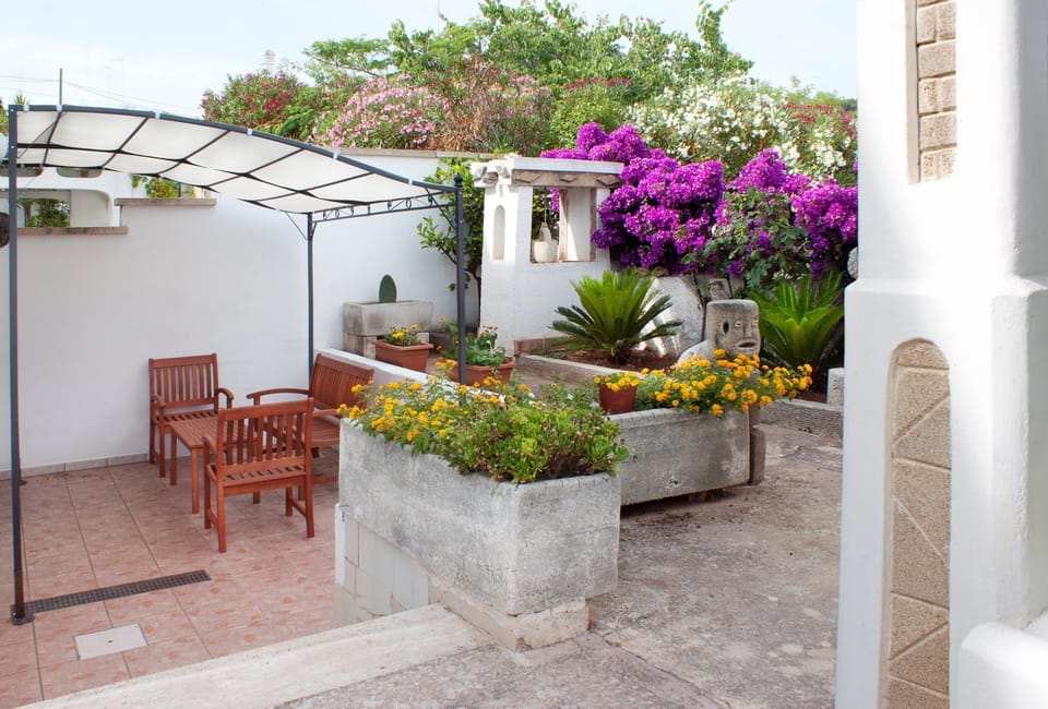 Garden, Balcony/Terrace