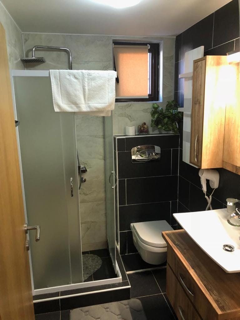 Zlatibor Lux Apartment in Zlatibor