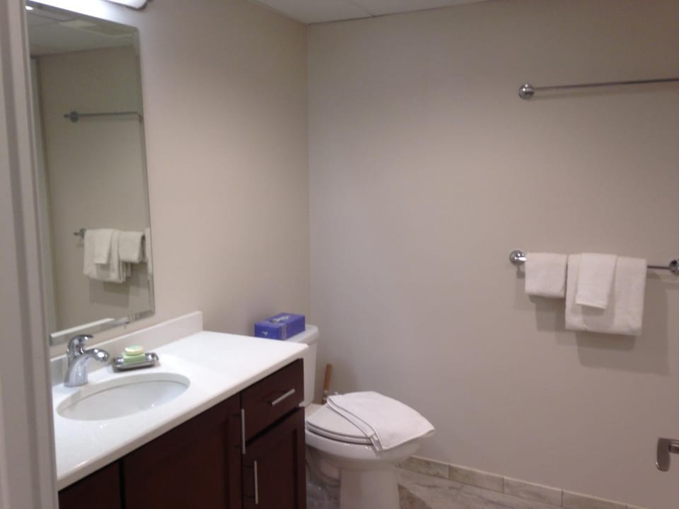 Toilet, Bathroom