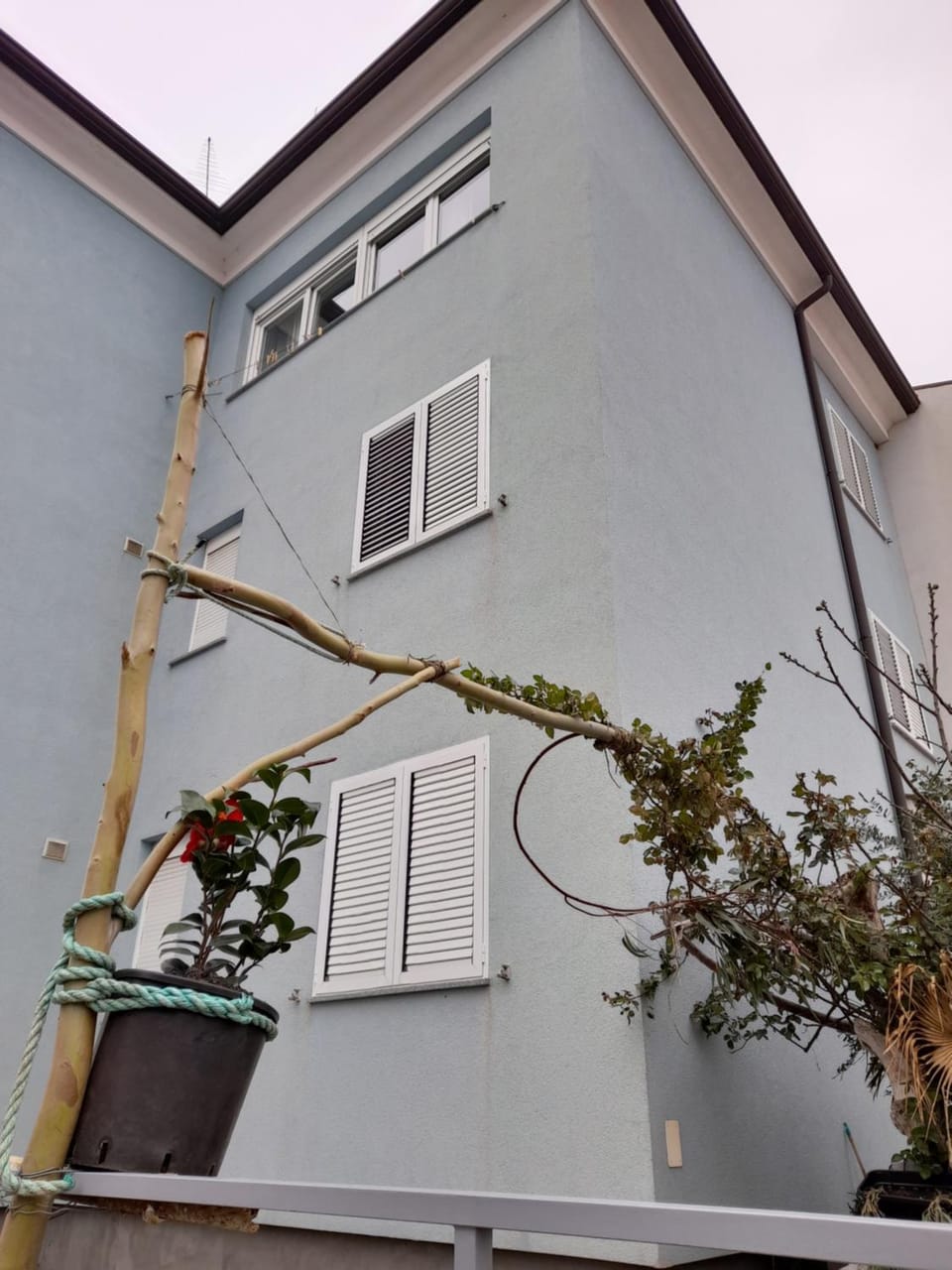 Lea Apartment in Rovinj