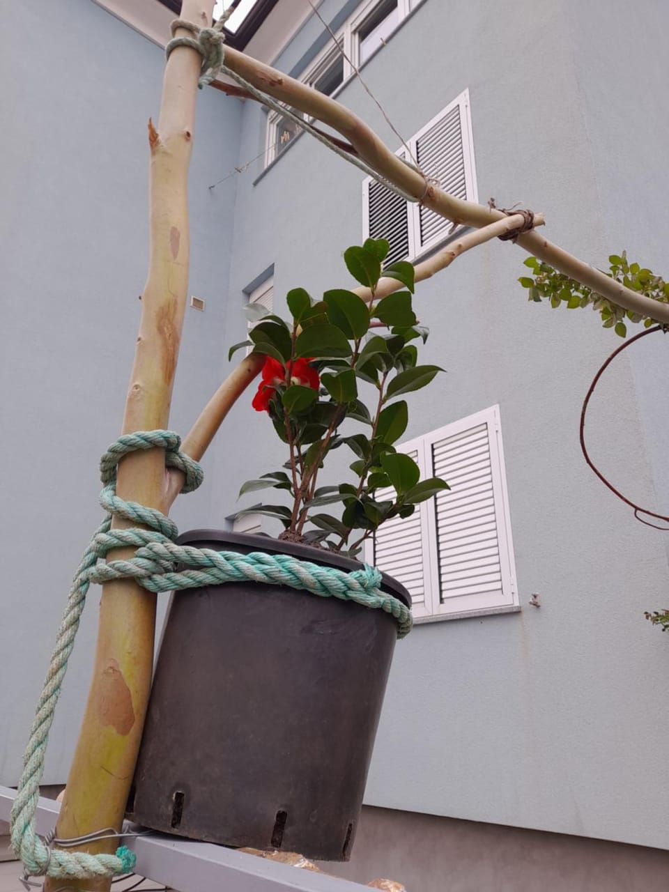 Lea Apartment in Rovinj