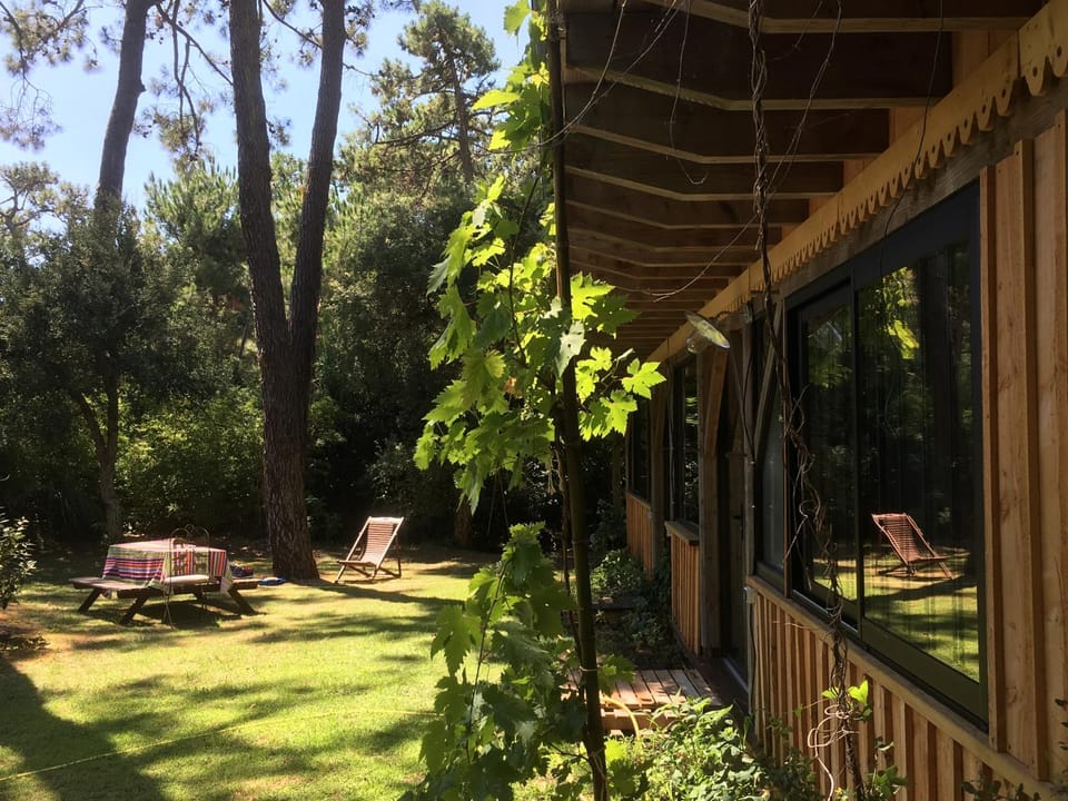 Property building, Garden view
