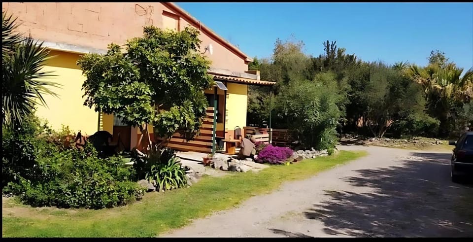 Property building, Garden, Garden view