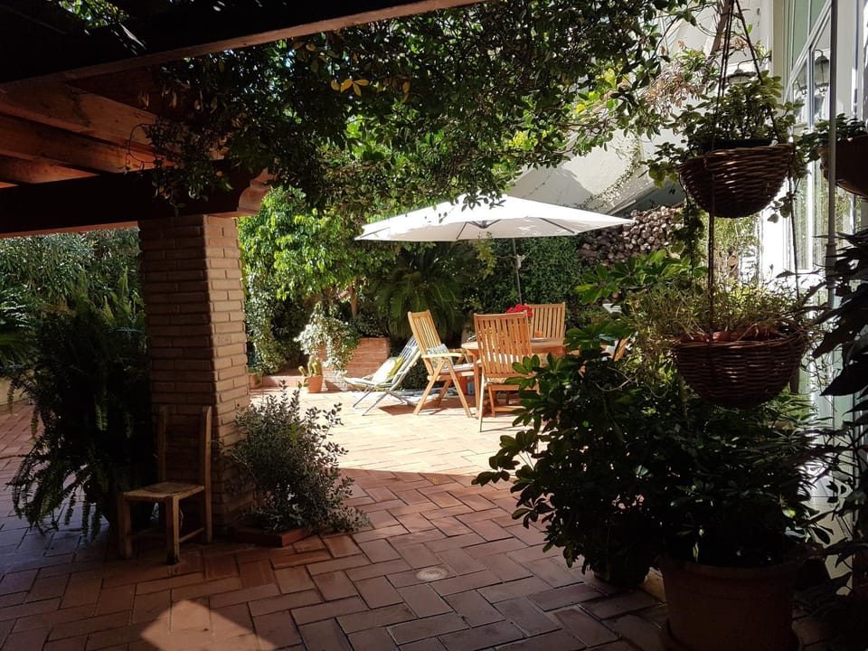 Patio, Garden