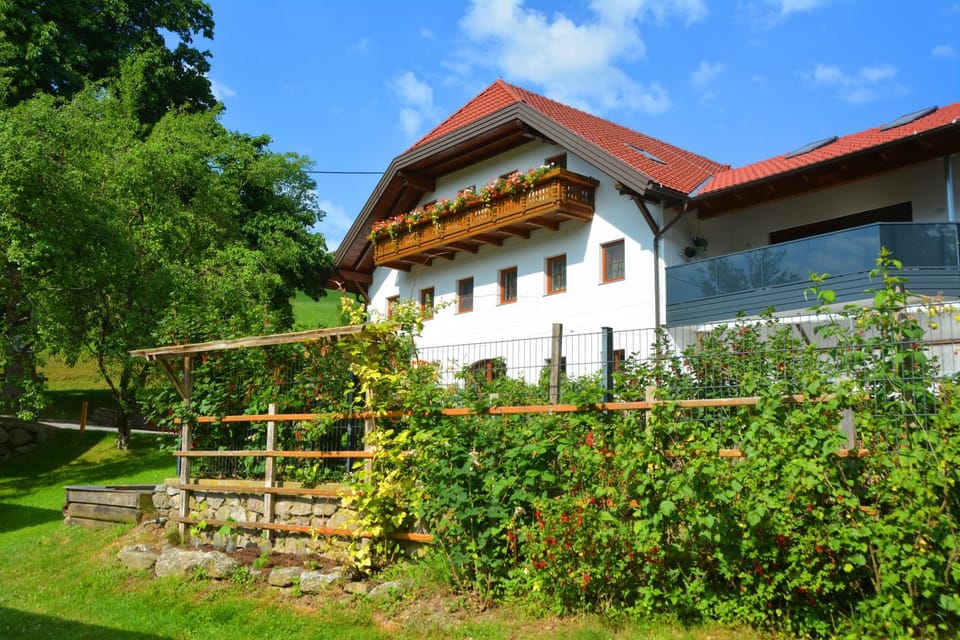Ferienhof Pfaffenlehen Bed and Breakfast in Upper Austria