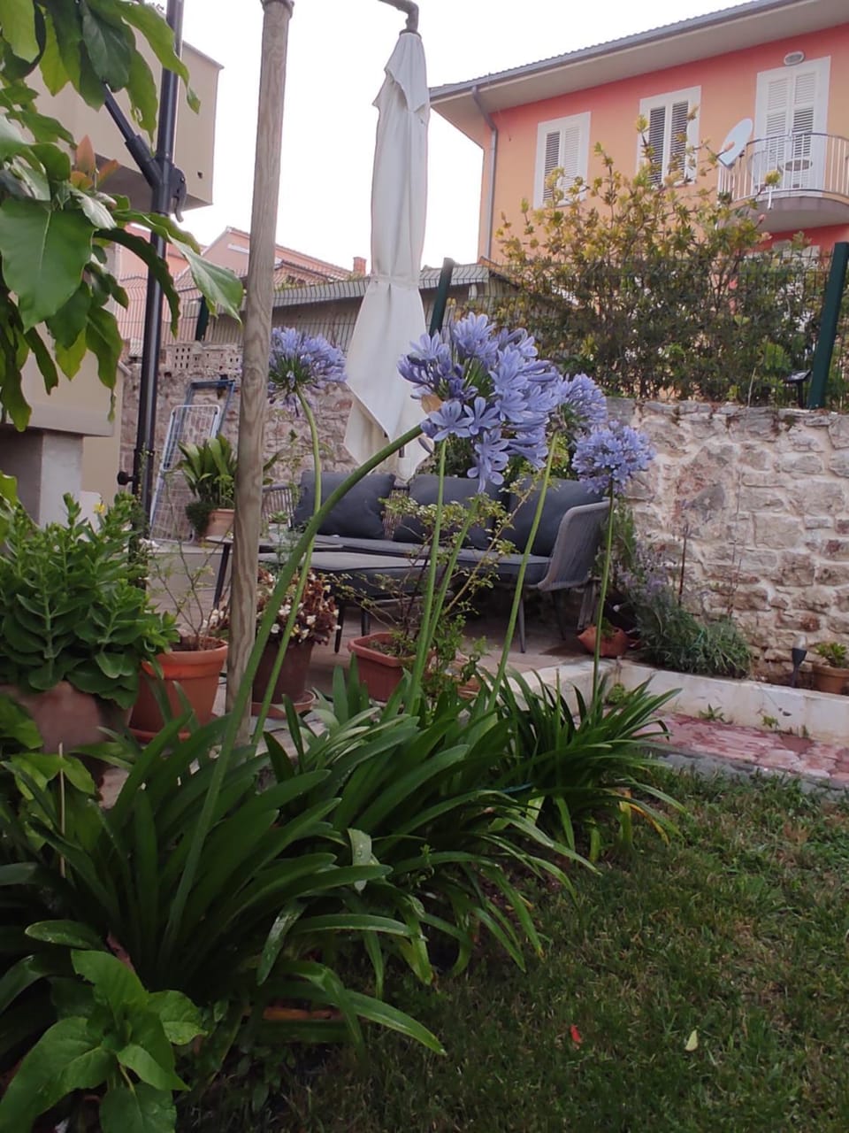 Podvršina1A Rosa House in Zadar County