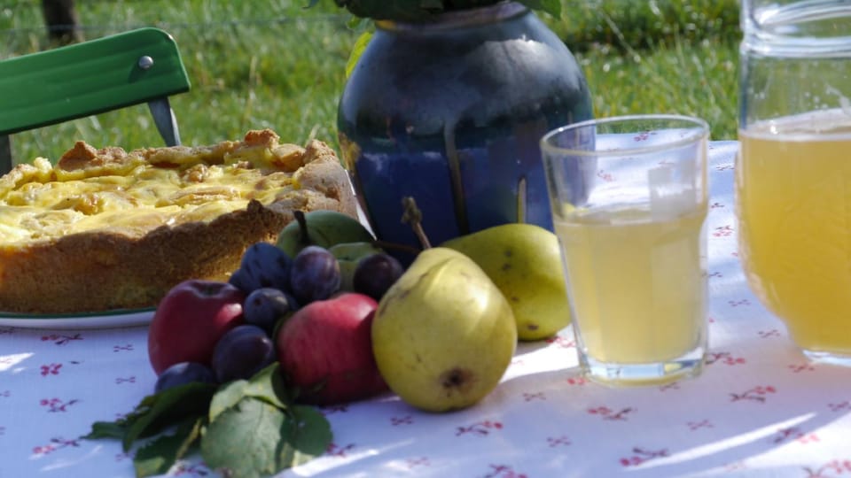 Food, Drinks