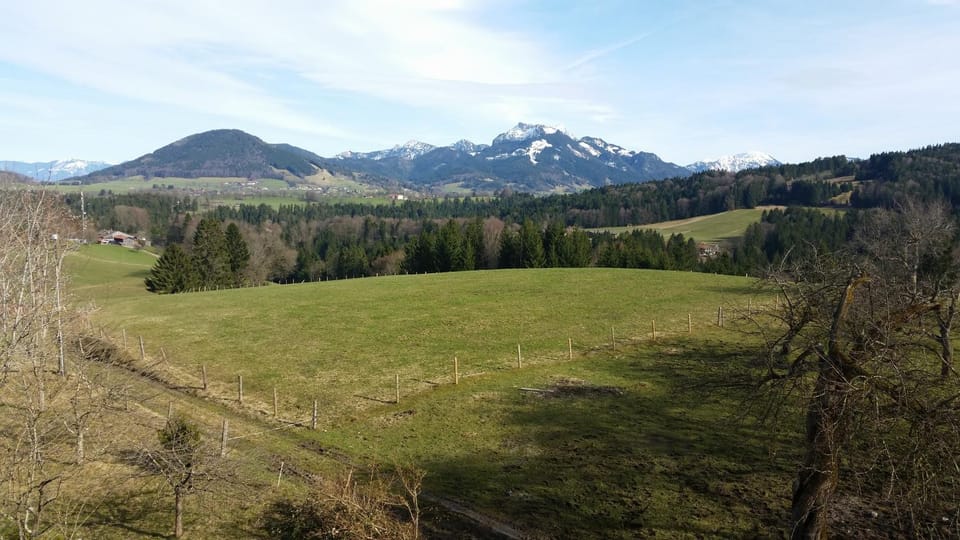 Natural landscape