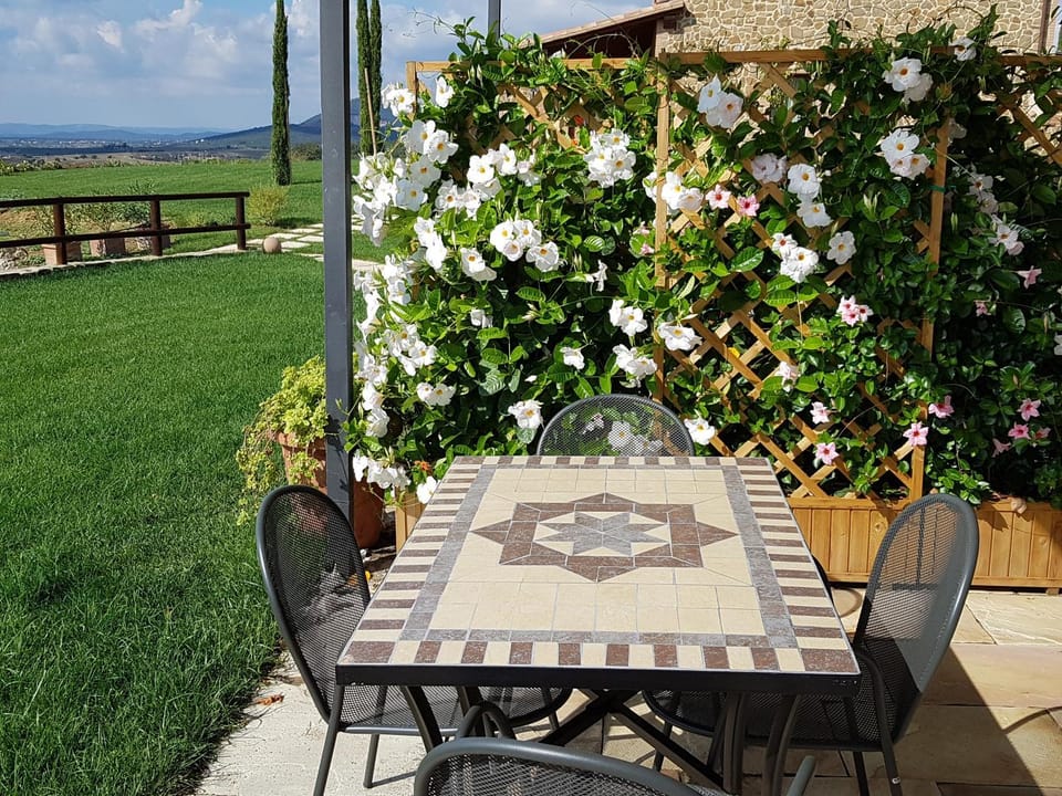 Patio, Garden