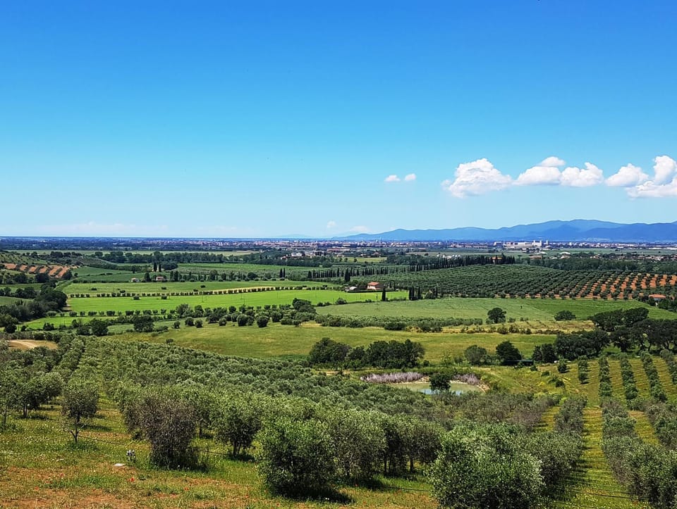 Natural landscape