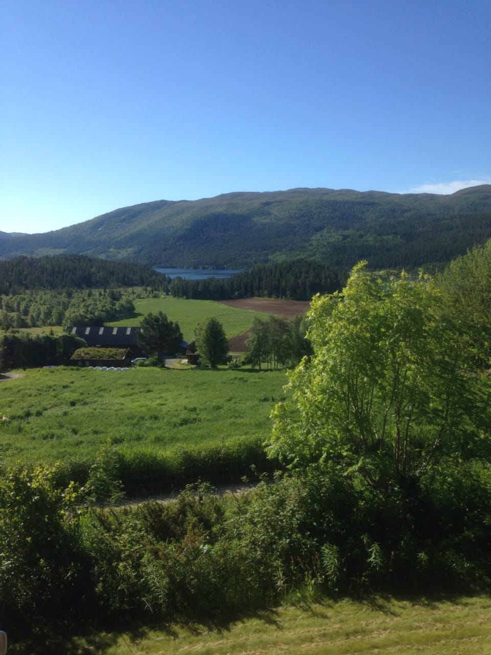 Off site, Summer, Garden view
