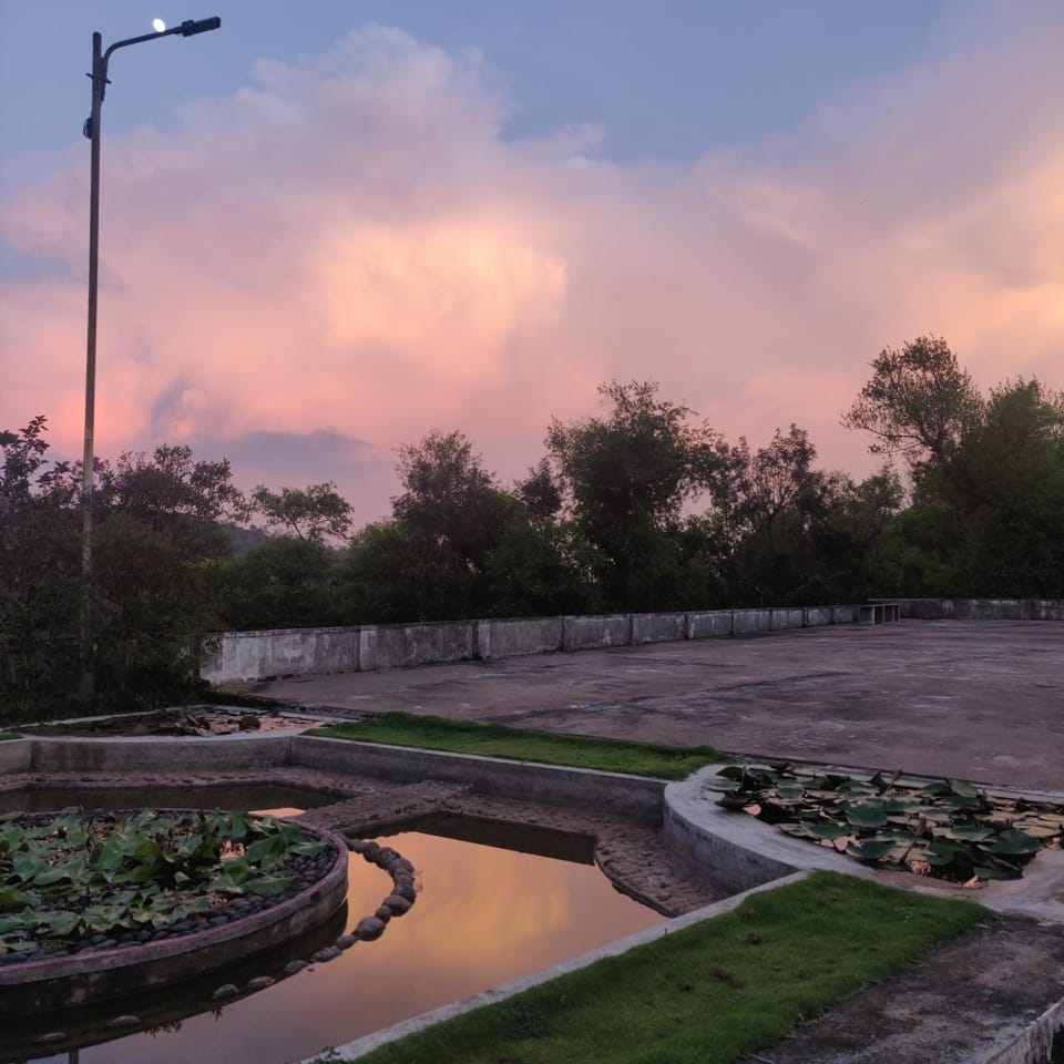 Natural landscape, Garden view, Sunset