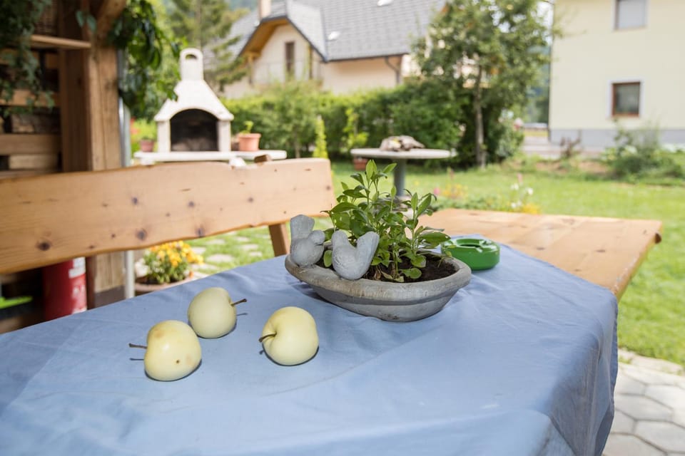Apartma Tajč Apartment in Slovenia