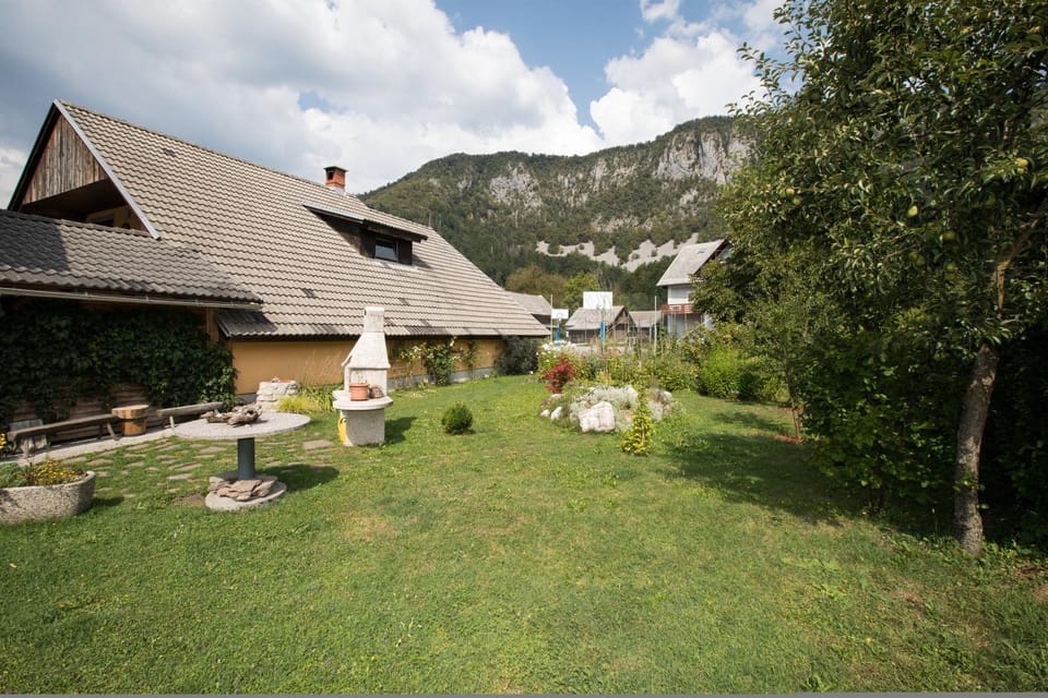 Day, Summer, Garden