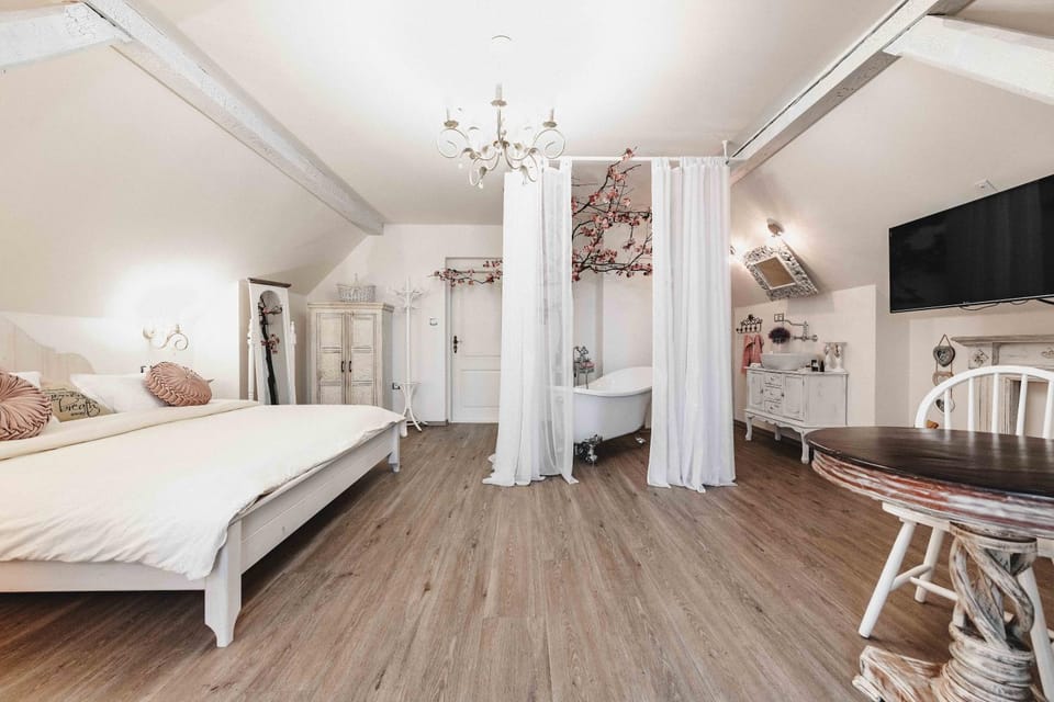 Resort Mlýn Černovice Hotel in Czechia