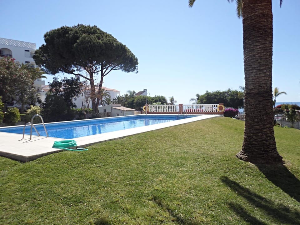 Garden, Swimming pool, Swimming pool