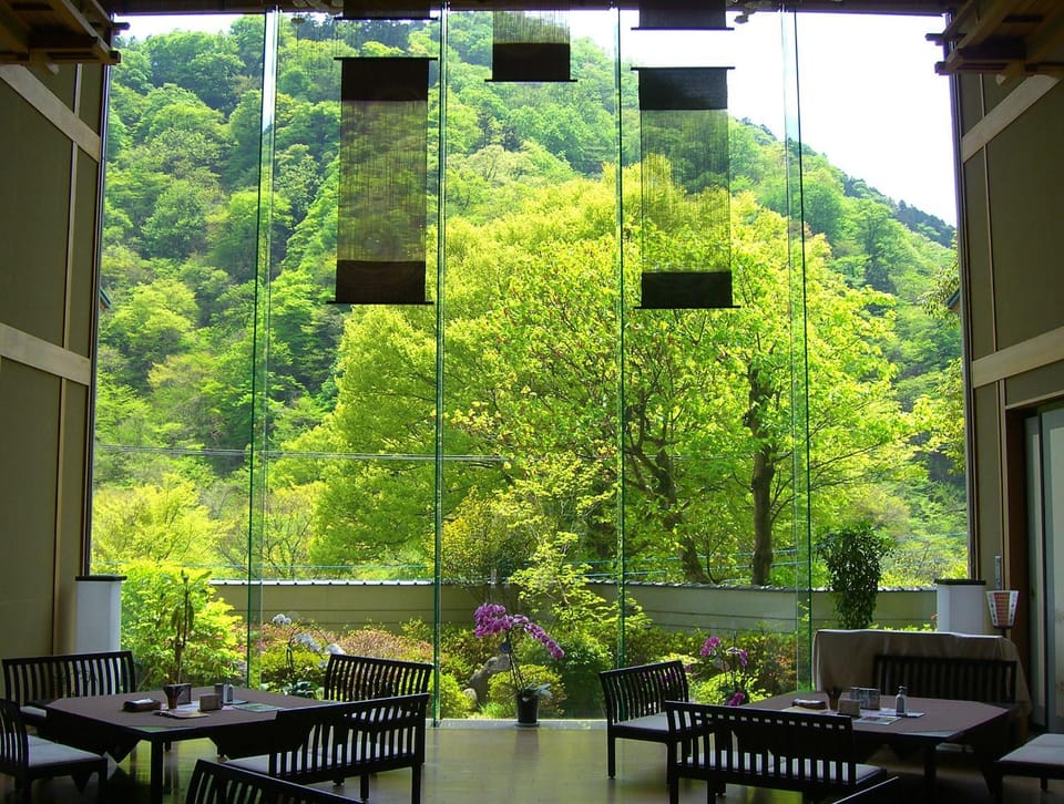 Lounge or bar, Mountain view