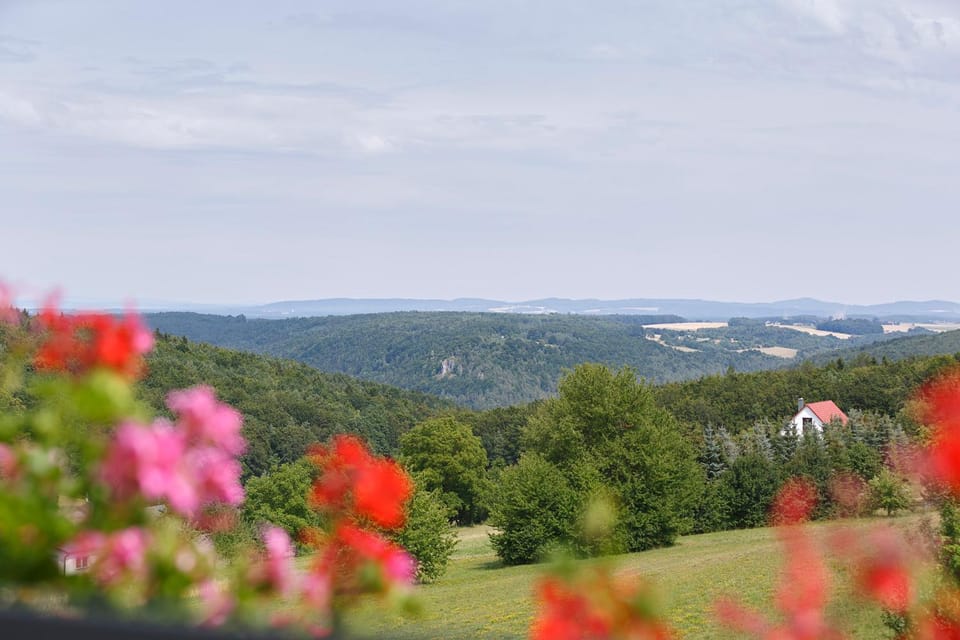 Natural landscape