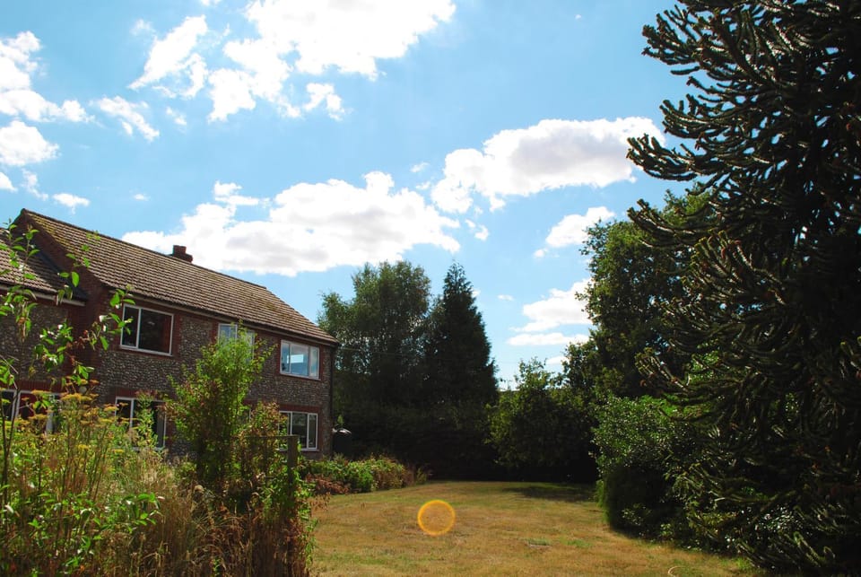 Property building, Garden view