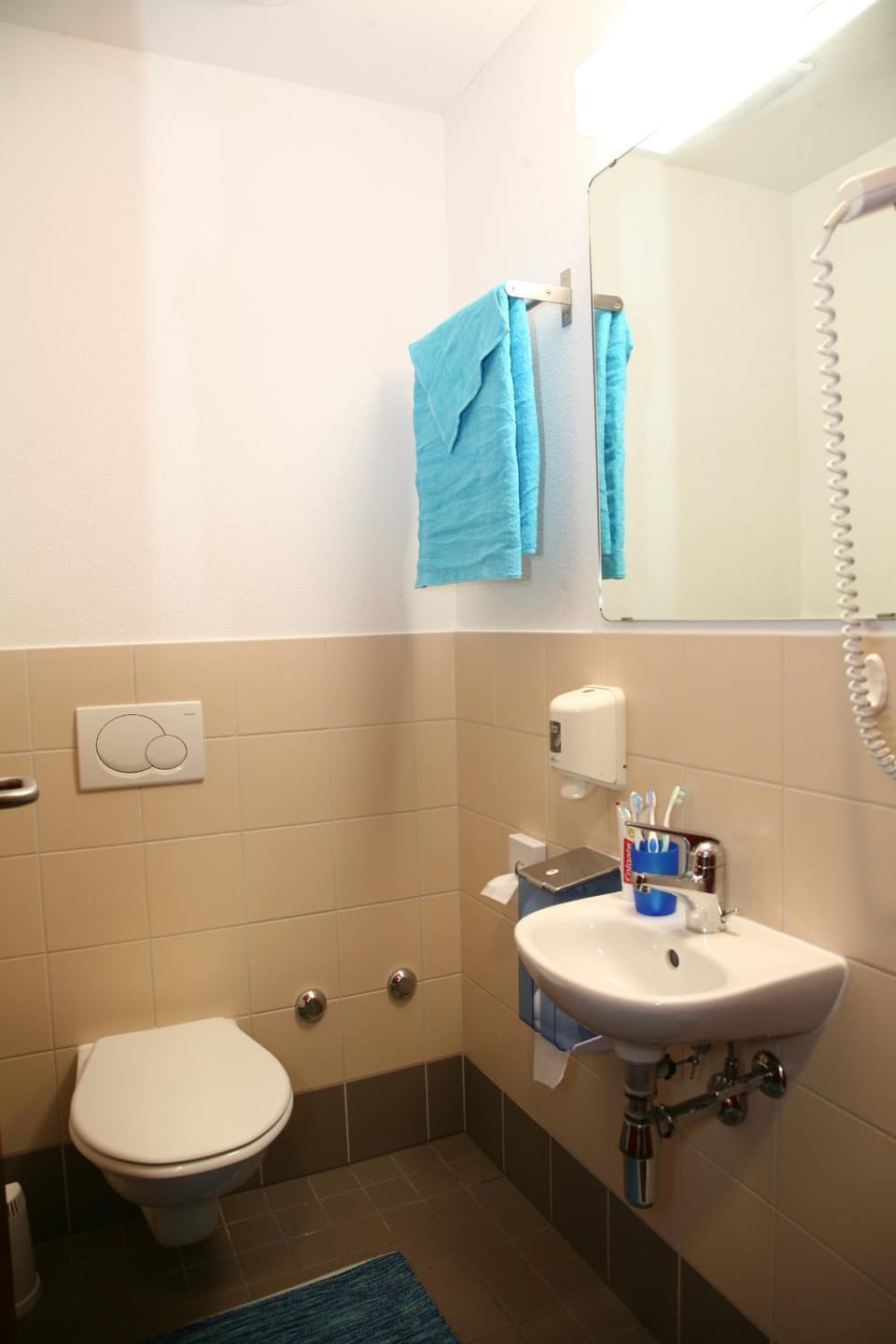 Toilet, Bathroom, On site