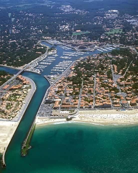 Les Bananiers Apartment in Capbreton