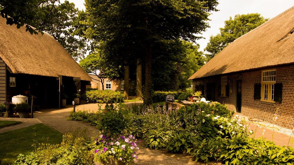 Property building, Garden, Other