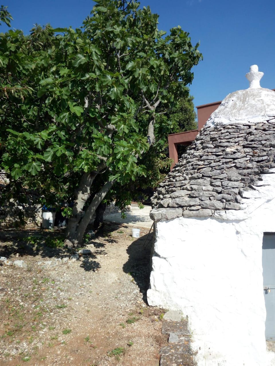 Villa Anna Apartment in Apulia