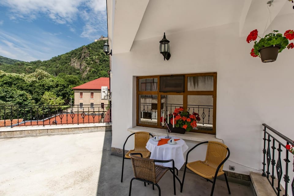Pensiunea Vila Europa Bed and Breakfast in Serbia