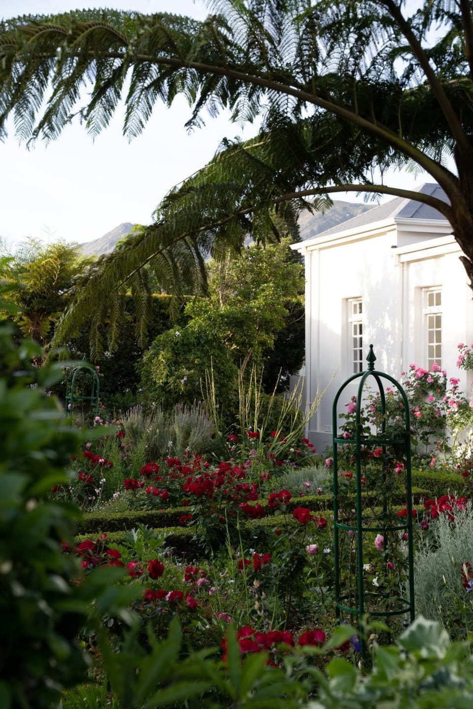 Property building, Garden, Garden view