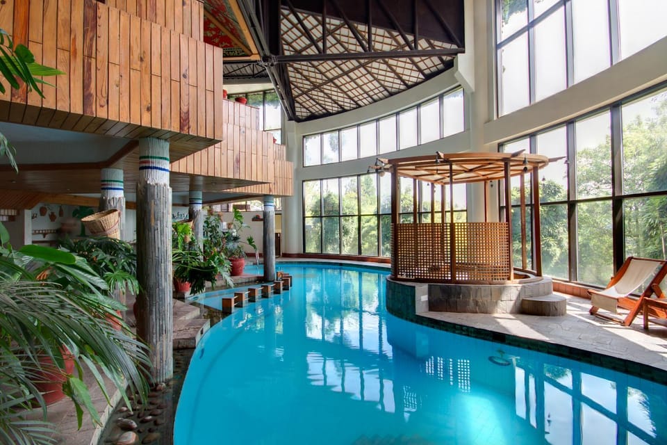 Activities, Pool view, Swimming pool, Swimming pool
