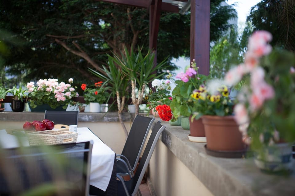 Villa Cecile Bed and Breakfast in Hungary